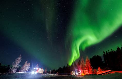 28 stunning images of the Northern Lights - November 20, 2023 | Reuters