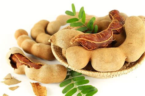 Tamarind Pods Manufacturer & Exporters from Thiruvananthapuram, India | ID - 5535601