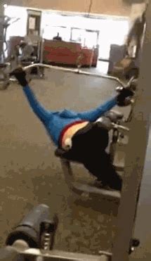 A Sunday collection of gifs. 35 gifs. - The Laughter Ward Gym Humor, Workout Humor, Diet Humor ...