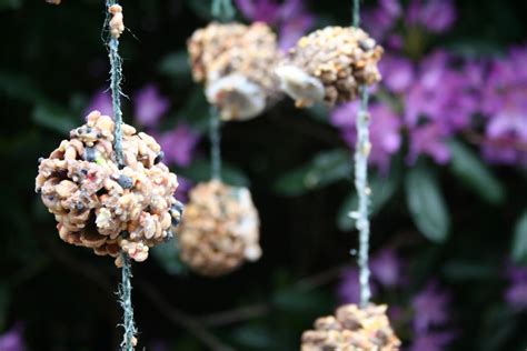 Pine Cone Bird Feeder