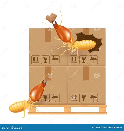 Termite Bites Eat Paper Boxes Brown Isolated on White Background ...