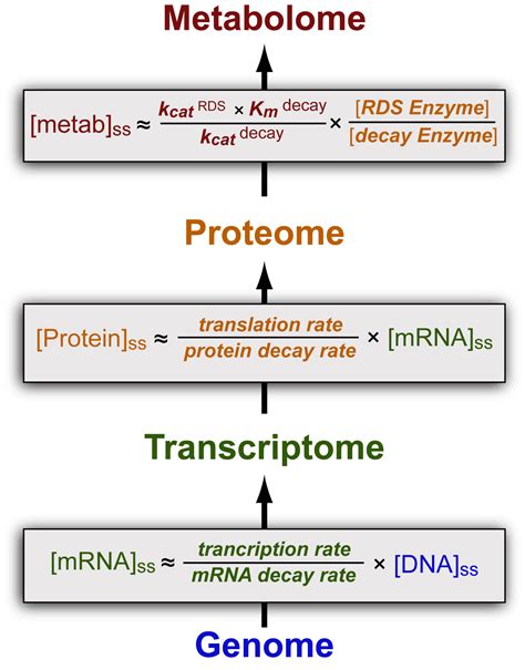 Molecular Biology Archives - Practically Science