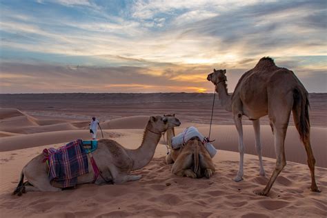 Desert Safari Oman - Oman Desert Private Camp