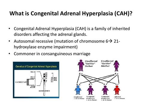 Congenital adrenal hyperplasia