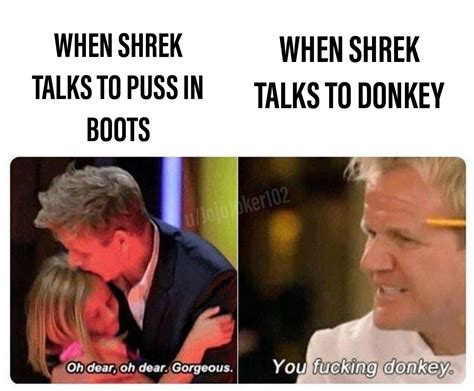 Gordon Ramsay Memes Oh Dear - Knockin Jokes