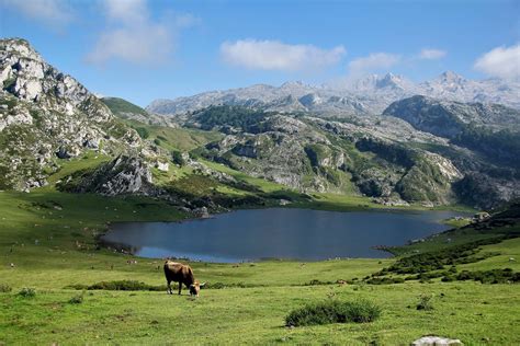 El Parque Nacional Picos de Europa cumple 100 años