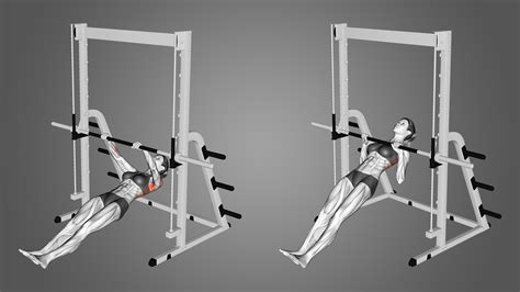 Inverted Row Exercise