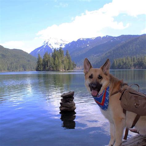 Lake Angeles via Peabody trail outside Port Angeles, WA : r/hiking