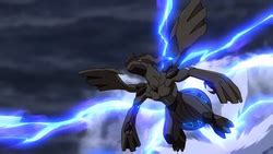 Zekrom (Pokémon) - Bulbapedia, the community-driven Pokémon encyclopedia