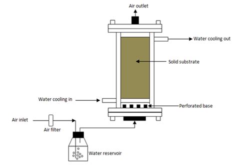 Solidstate Fermentation Of Palm Kernel Cake Locallyisolated Strains Book Pdf | E Reader App Iphone