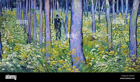 Vincent Van Gogh Undergrowth with Two Figures Stock Photo - Alamy