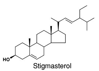 Stigmasterol - Alchetron, The Free Social Encyclopedia