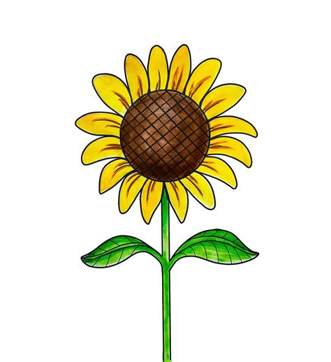 Sunflower Cartoon | ubicaciondepersonas.cdmx.gob.mx