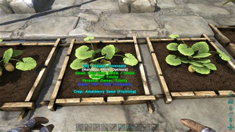 Amarberries & Seeds - Ark: Survival Evolved