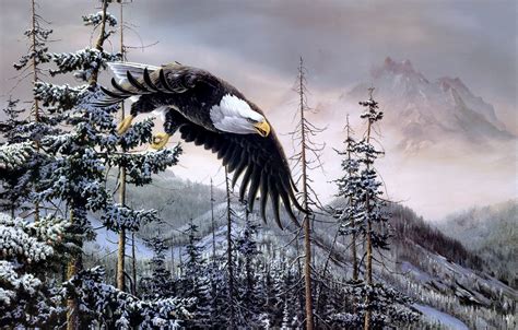 🔥 [20+] Eagle Winter Wallpapers | WallpaperSafari