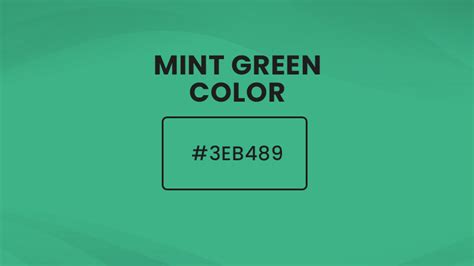 What Color is Mint Green? About Mint Green Color