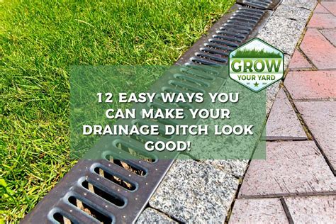 How To Build A Rock Drainage Ditch - Best Drain Photos Primagem.Org