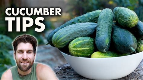 9 Tips to TRIPLE Your Cucumber Harvest! - YouTube