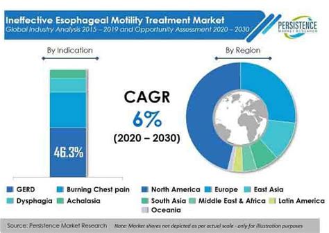 The Ineffective Esophageal Motility Treatment Market to Adopt