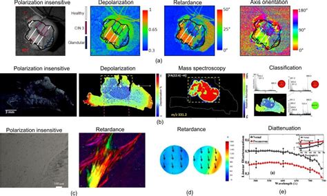 A Clear Picture of Polarimetric Imaging In 2017 - Advanced Science News