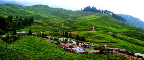 Puncak Tourist Site in Cisarua Sub-District, Bogor City