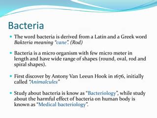 Bacteria | PPT | Free Download