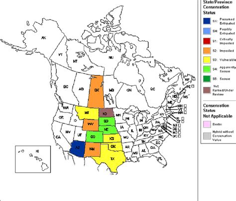 Map of Natural Heritage Ranks for the black-tailed prairie dog... | Download Scientific Diagram