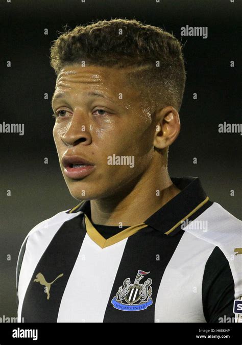 Newcastle United's Dwight Gayle Stock Photo - Alamy