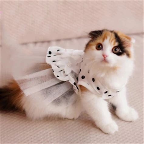 Pet Supplies Cat Clothes Cats Wear Costume Blusao Products For Cats Pet ...