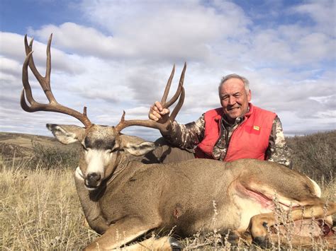 Wyoming Mule Deer Photos - TIMBERLINE - WYOMING BIG GAME HUNTING