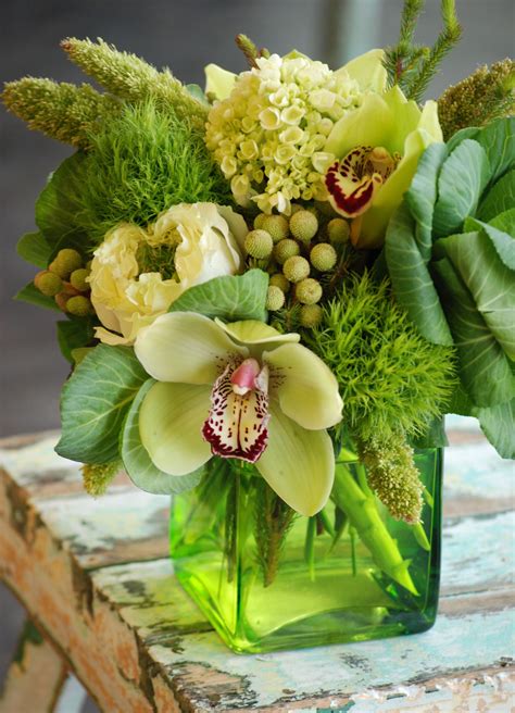 monochromatic green flowers, kale flowers, green cymbidium orchids ...