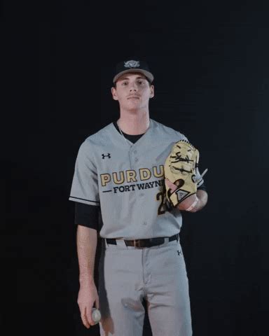 Baseball Ball GIF by Purdue Fort Wayne Athletics