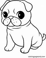 Free Printable Pug Dog Coloring Page  Pages sketch template