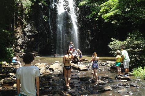 Private Tour: Tropical Rainforest And Waterfalls Day Trip From Cairns ...