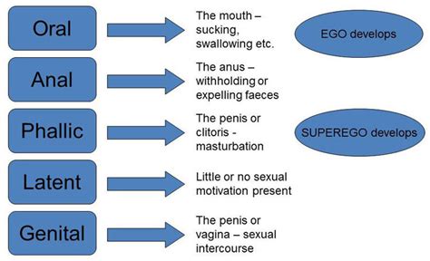 Sigmund Freud Psychosexual Theory of Personality Development