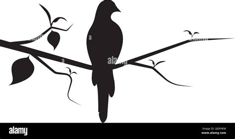 Bird Silhouette On Branch