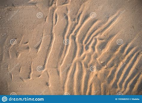 Sandy Backdrop Ready for Design Stock Image - Image of design, natural: 155568253