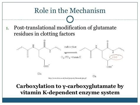 Gamma Carboxylation i.e Post Translational Modification of "Glutamate ...