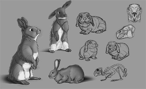 How to draw a rabbit (bunny) easily [Tutorials for beginners]