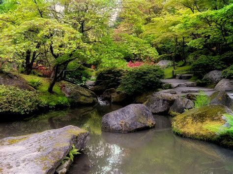 Seattle Arboretum Japanese Garden - Creek by Alin Simionoiu, via 500px | Japanese garden ...