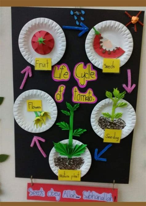 Pin by Kelly Barrett on Science in 2024 | Preschool crafts, Science projects for kids, Plant ...