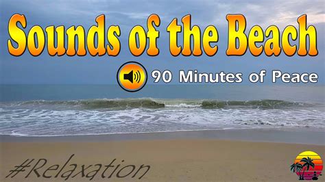 90 Minutes of Beach Sounds - YouTube