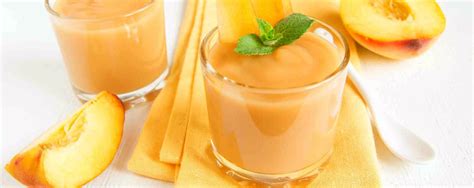 Fuzzy Navel Smoothie - Brand Points Plus Canada