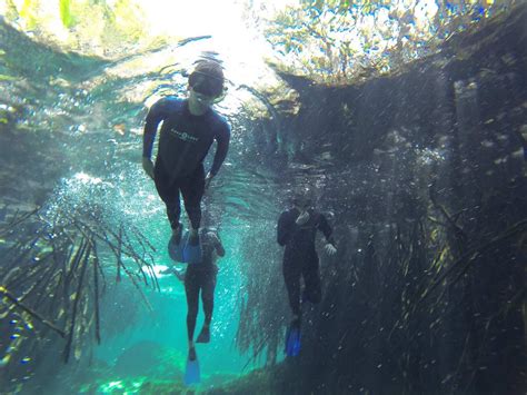 Scuba Diving & Cenote Diving in Playa del Carmen | Koox Diving