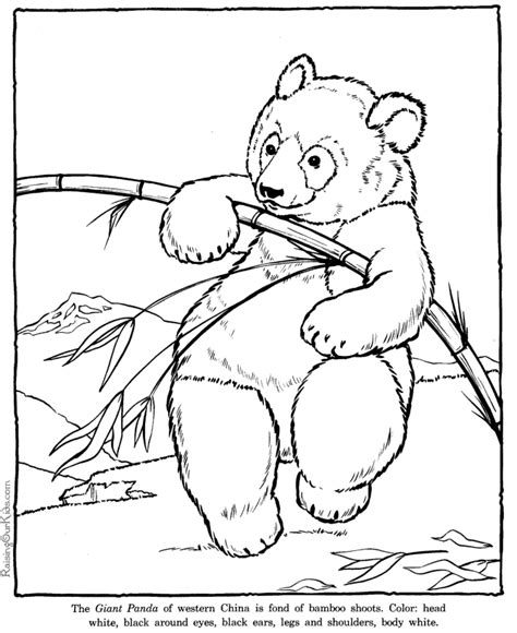 Coloring of Page Realistic Zoo Animals | Giant Panda coloring pages - Zoo animals | Artsy ideas ...