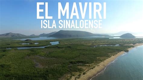 The Beaches of Maviri Sinaloa will be closed due to the high presence of jellyfish - The ...