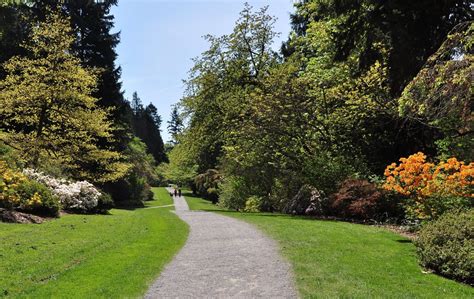 7 Photos To Inspire You To Visit The Washington Park Arboretum! - Enthusiastic About Life