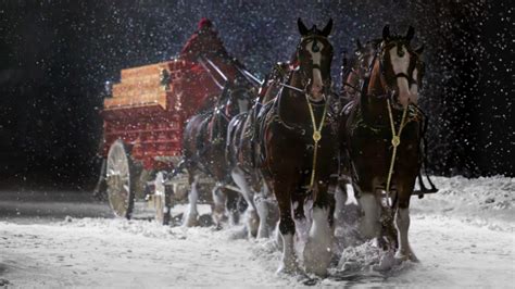 The Budweiser Clydesdales and Labrador Return for Super Bowl 58