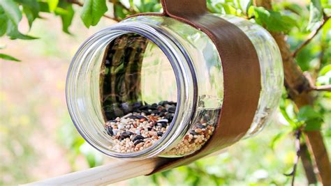 5 easy DIY bird feeders