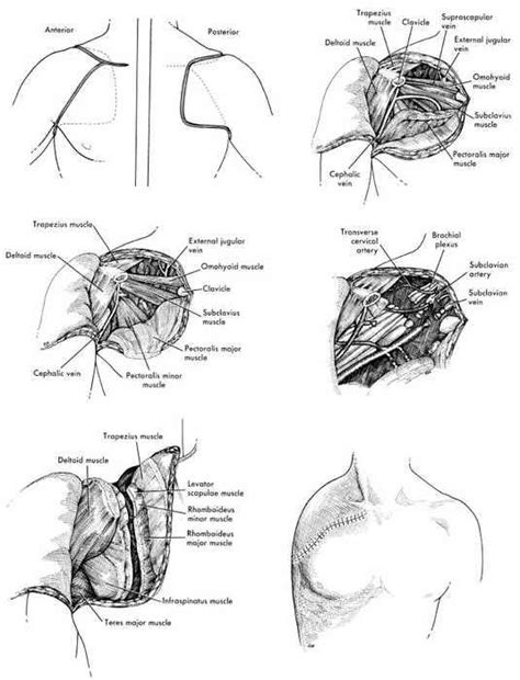 Pin on MedTip [medical training]